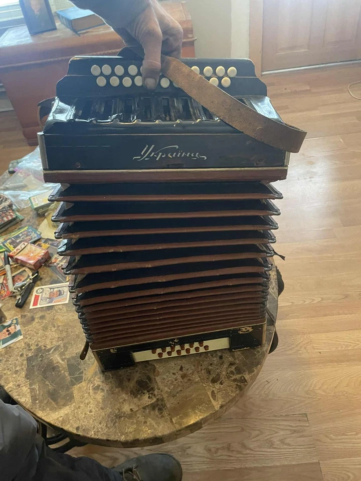 Acordeón Ucrania Foto 2 de 3