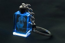 Dackel, Hund Kristall Schl&uuml;sselbund, Schl&uuml;sselbund, Crystal Animals DE