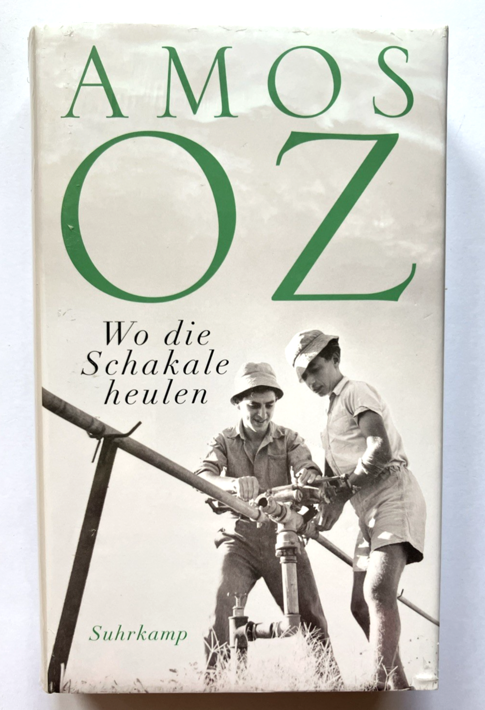 Wo die Schakale heulen: Erzählungen - Bild 2