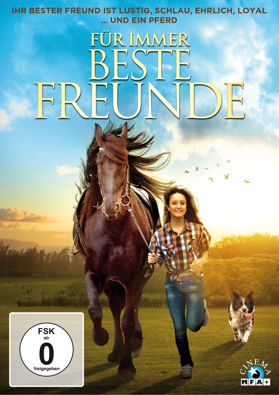 Für immer beste Freunde | Paul Della Pelle (u. a.) | Deutsch | DVD | DVD | 2016 - Bild 2
