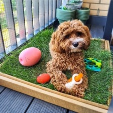 Real Grass Dog Toilet with Tray – Indoor Balcony Pet Pee Pad Natural