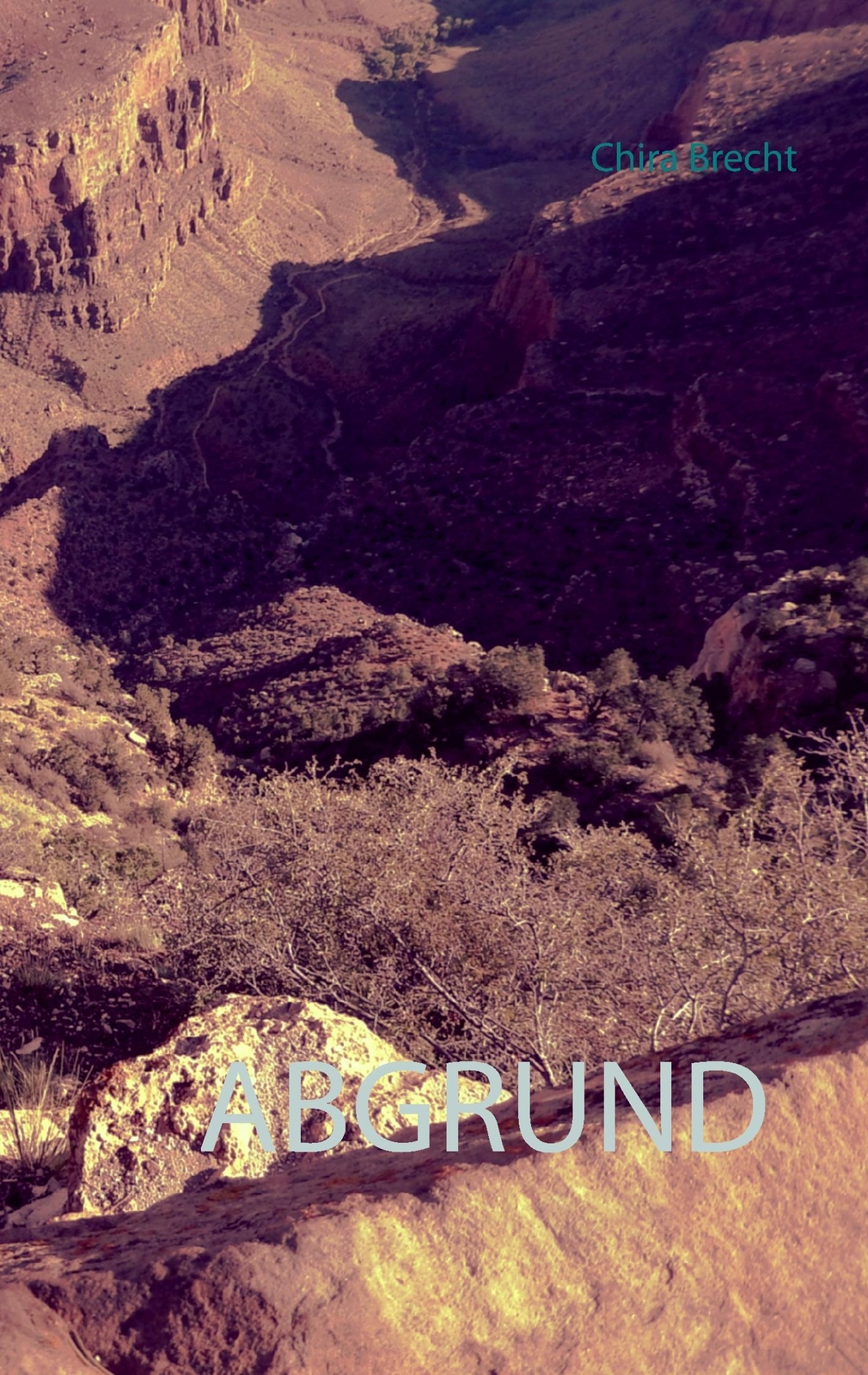 Thumbnail - Chira Brecht | Abgrund | Taschenbuch | Deutsch (2015) | Paperback |