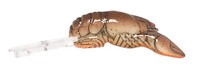 Reb Wee Craw 2 1/5-ditch Brn Reb Wee Craw 2 1/5-ditch Brn