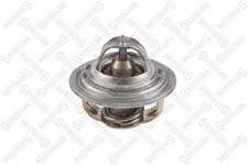 Thermostat Ford ESCORT
