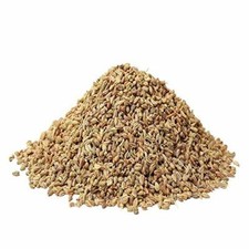 Indian Premium Carom Seeds Vaamu ajwain Omam Oregano 100gm-1000gms FREE SHIP