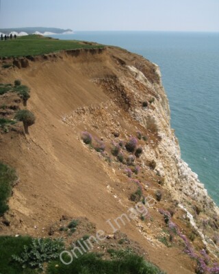 Foto 6x4 Erosion, Seaford Kopf: 1 Kaninchen und Wetterbelichtung ar c2010