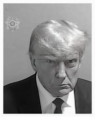 PRESIDENT DONALD TRUMP MUGSHOT DIGITALLY ENHANCED B&W 8X10 PHOTO REPRINT