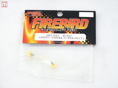 HobbyZone HBZ1052 Wing Canopy Screws Firebird (2) Schrauben Ala Hood Modell