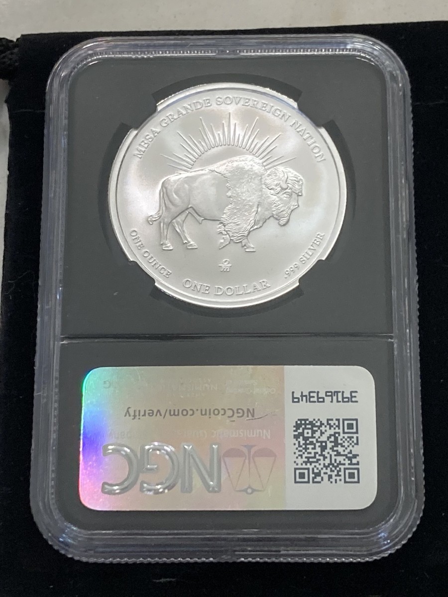 First Release 2025 Mesa Grande Native American Bison Dollar 1oz