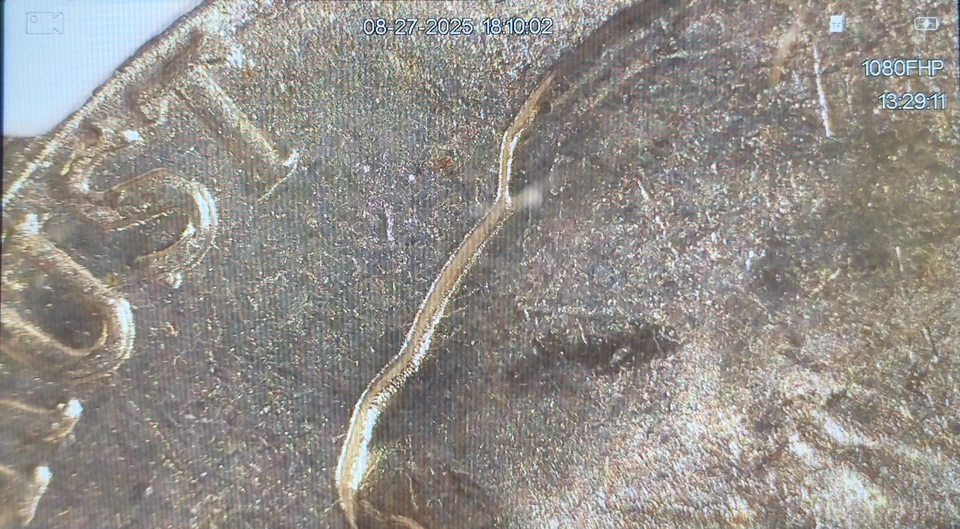 1946-S Jefferson Nickel NGC MS66 Doubling RPM Brilliant Uncirculated Toned - Image 3 of 4