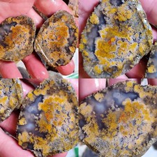 RARA ÁGATA EN EBAY Ramo PLUMA Ágata San Carlos Chihuahua Laguna México 82g