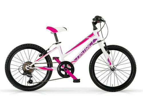 Vélo Ville Homme MBM Moonlight Acier 1 Vitesse 28" Noir - Neuf Garantie 2 Ans