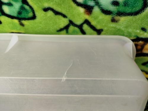 Tupperware Snack-Stor Vintage 9x9, Cake/Cookie Keeper GOOD SHAPE!! small crack - Picture 16 of 16