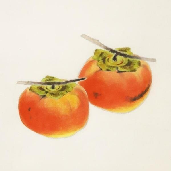 本物！　巻白　persimmon(B) サイン　99/140 版画 JAPANESE PAINTING HANGING SCROLL JAPAN Persimmon Fruit Vintage Old