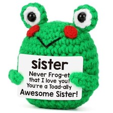 Funny Handmade Frog Gifts for Sister Christmas, Best Sister Christmas
