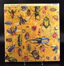 Graphic 45 FLUTTER 24 Loose Sheets 12x12 Identical Cardstock Paper Beetles