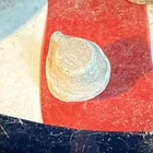 Dug Civil War 💥 🇺🇸 💣  Nipple Protector Carved Bullet