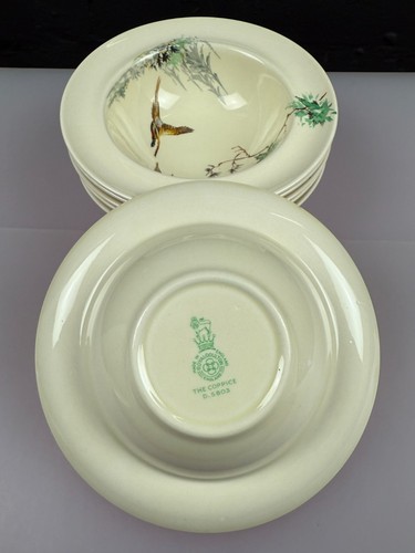 6 x Royal Doulton The Coppice Rimmed Cereal Bowls 16.5 cm Wide Set - Picture 6 of 6