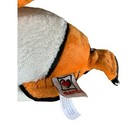 Picture 6 of 6