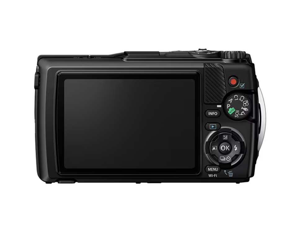 s-l1200.png