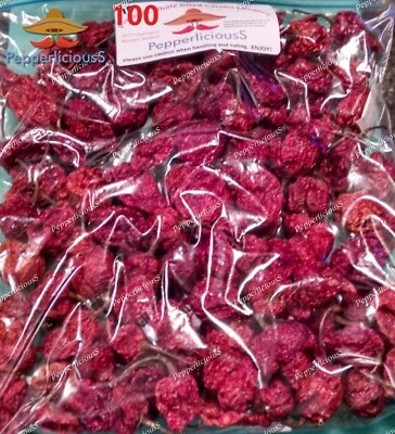 PEPPERLICIOUSS PEPPER COMPANY 100 DRIED CAROLINA REAPER Pods - WORLDS HOTTEST CHILE PEPPER Super Hot Quality