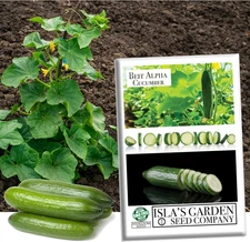 "Beit Alpha" Burpless Open-Pollinated Cucumber Seeds for Planting, 100+ Seeds pe