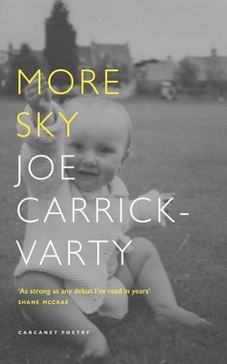 More Sky by Joe Carrick-Varty Paperback Book