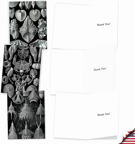 The Best Card 10 Assorted Thank You Note Cards Bulk Box Set 4 X 5.12 Inch with - Picture 4 of 7