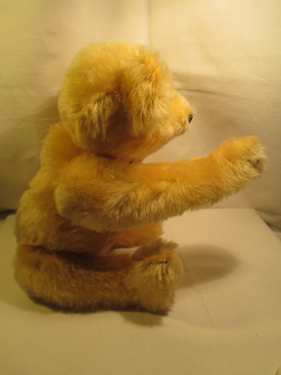【希少】Steiff シュタイフ 1909 Teddy Bear 0165/38 Rare Steiff 1909 Teddy Bear 0165/38 | eBay