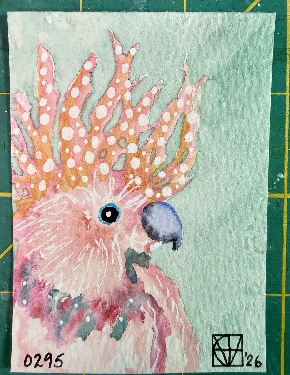鸟类原创艺术水彩画画| eBay