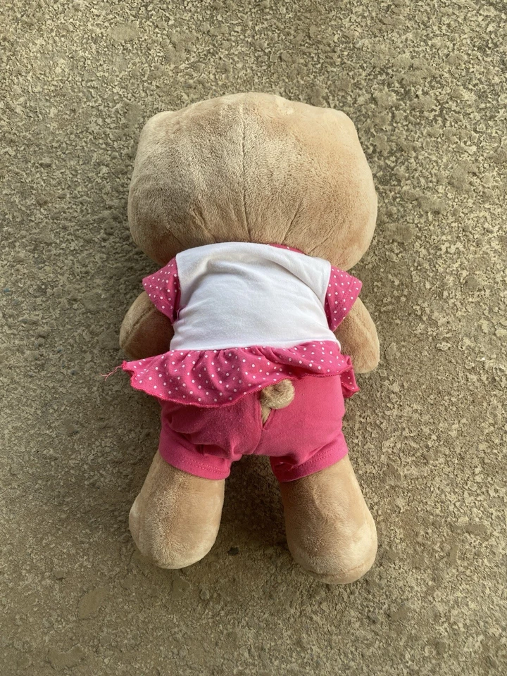 Hello Kitty Build-A-Bear 2010 Hawaiian Sunkissed Tan My Melody W/ Clothes Rare - Image 3 of 4