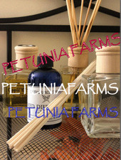 Reed Diffuser Bottle Plus Reed Diffuser Refil oil SANDALWOOD fragrance