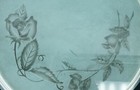 Bild 7 von 7