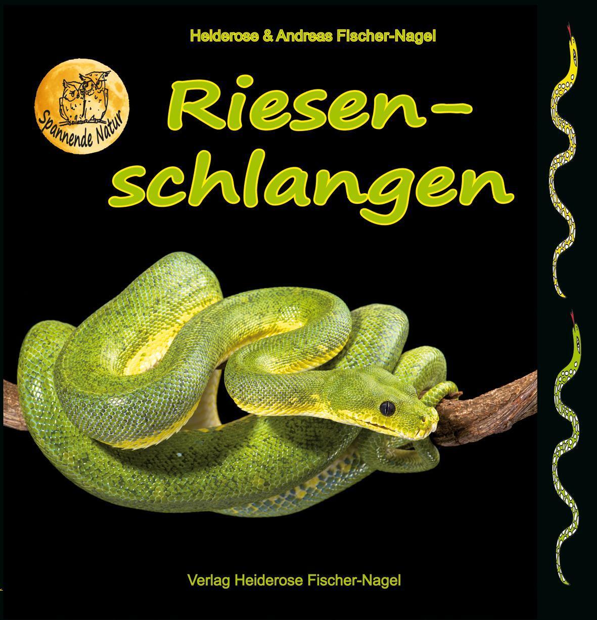 Thumbnail - Heiderose Fischer-nagel Riesenschlangen