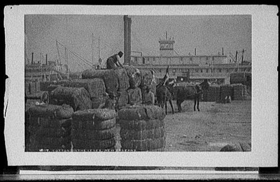 Cotton,levee,steamers,boats,New Orleans,Louisiana,LA,Detroit Publishing Co,1880