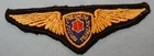 OBSOLETE SADF ALEO SOUTH AFRICA PILOT WING PATCH BADGE