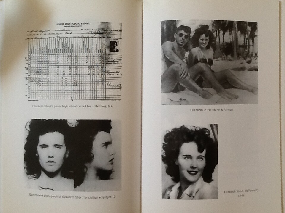 The black dahlia book summary