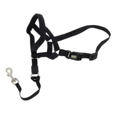 Coastal Pet Walk 'n Train Dog Head Halter Gentle Leader for Dogs