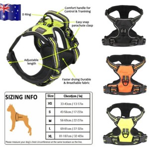 truelove front range