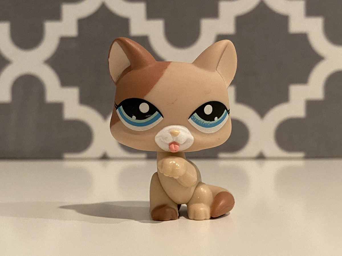 Lps paw store up cat