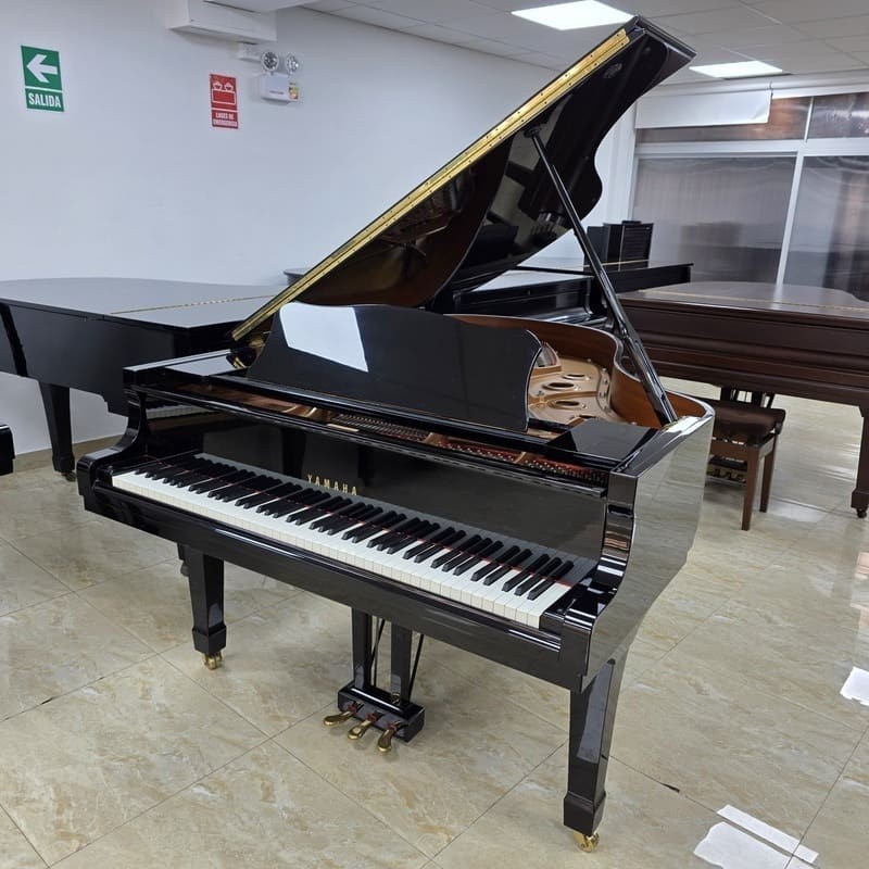 Yamaha C3 Grand Piano – 6'1" Polished Ebony