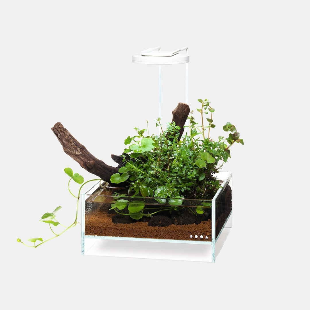 ada  dooa セット DOOA START SET | en