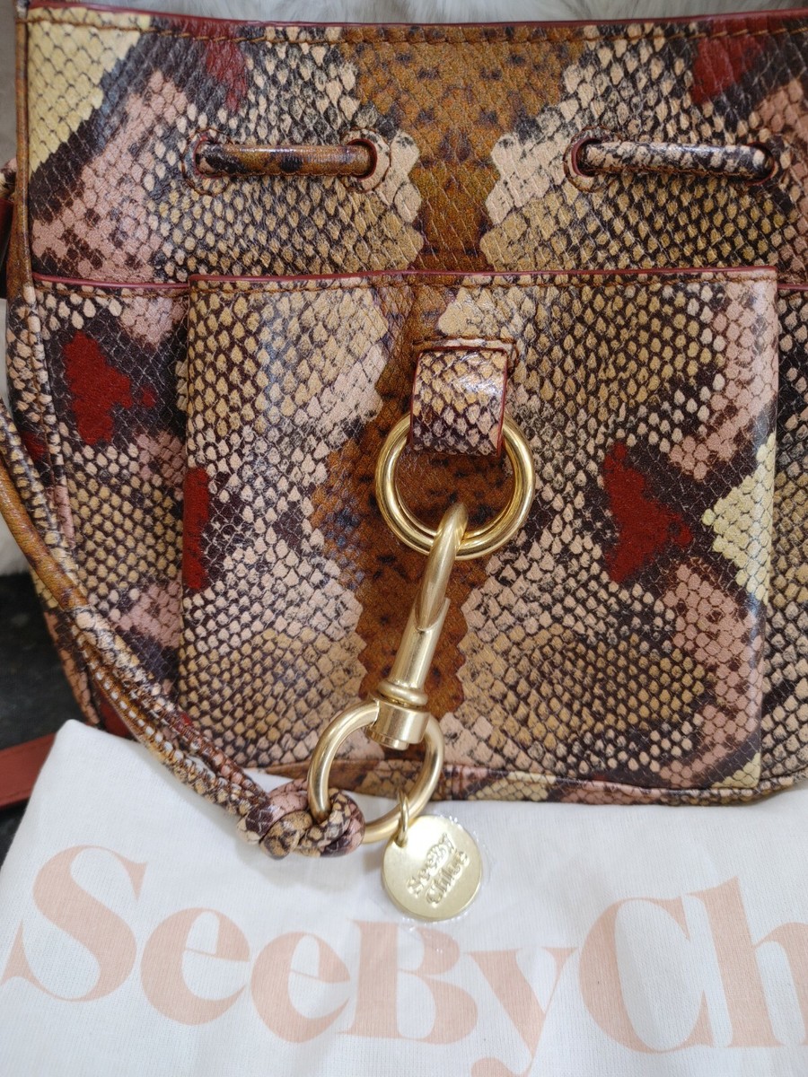 ハンドバッグ Chloe Mini Vanity Tawny Orange Chloe C Mini Vanity Bag Milky Orange | Cosette