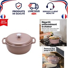 Cocotte en fonte émaillée ronde avec couvercle, marmite four