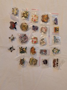 Lot 24 Baseball Pins Various Mostly 2007 Houston Texas Area