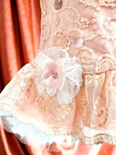 American Girl Doll Truly Me Shimmer Lace Party Dress Barrette Shoes New In Box