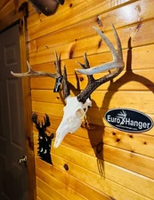 European Skull Mount Hanger *The EuroHanger Slim*  Deer Skull Hook