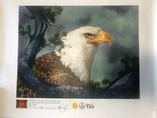 Eagle At Rest Print By Clancy Cherry Limited Edition Giclee #11838, 293 Of 500