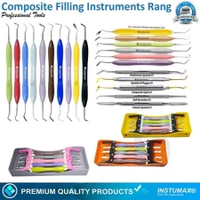 Set of 10 LM Arte Composite Filling & Restorative Instruments Silicone Handle
