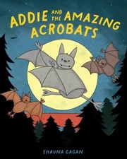 Addie and the Amazing Acrobats Hardcover Shauna Cagan